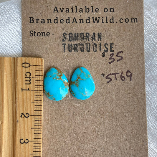 Sonoran Turquoise Cabochon - ST69