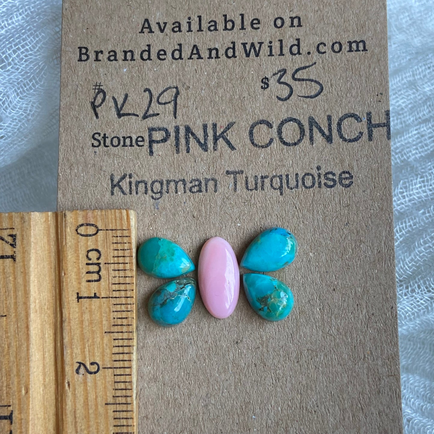 Pink Conch / Oyster Shell Cabochon - PK29