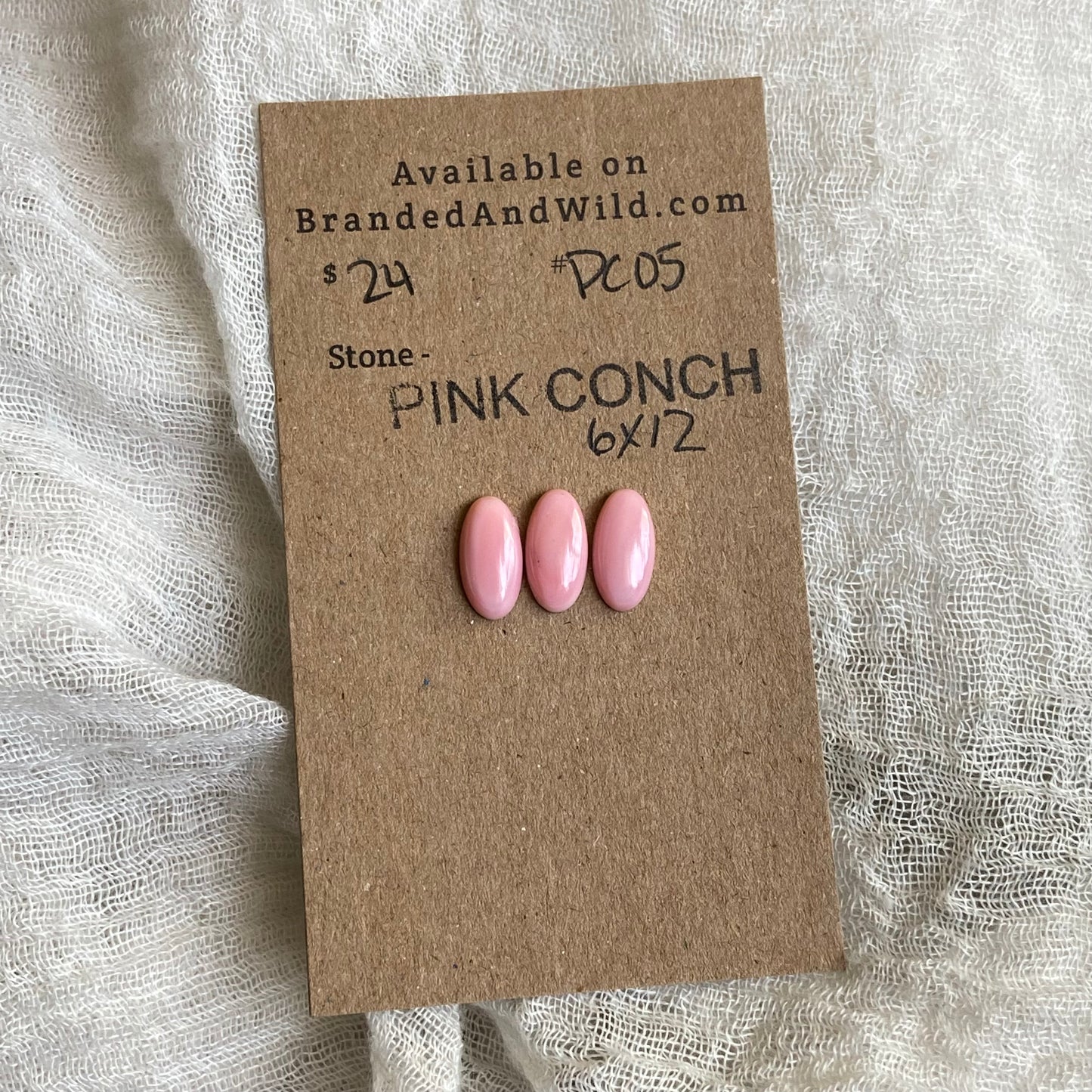 Pink Conch Cabochon - PC05 FCACAB84-2D7E-4329-8B40-47DA3B562E03 Brandedandwild.com