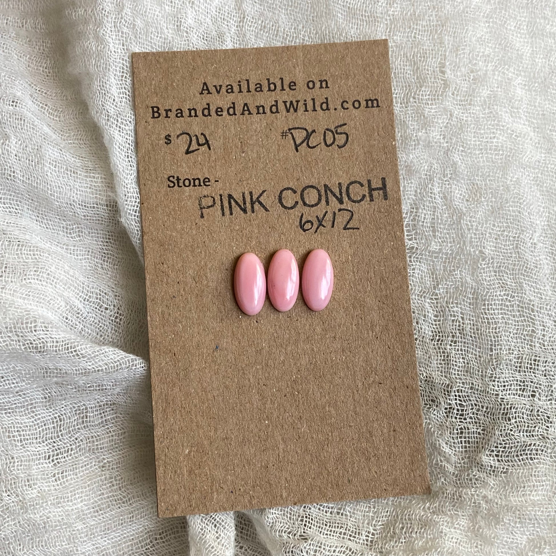 Pink Conch Cabochon - PC05 FCACAB84-2D7E-4329-8B40-47DA3B562E03 Brandedandwild.com