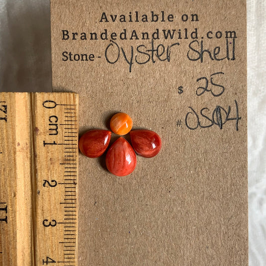 Oystershell Cabochon - OS14