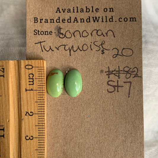 Sonoran Turquoise Cabochon - ST7