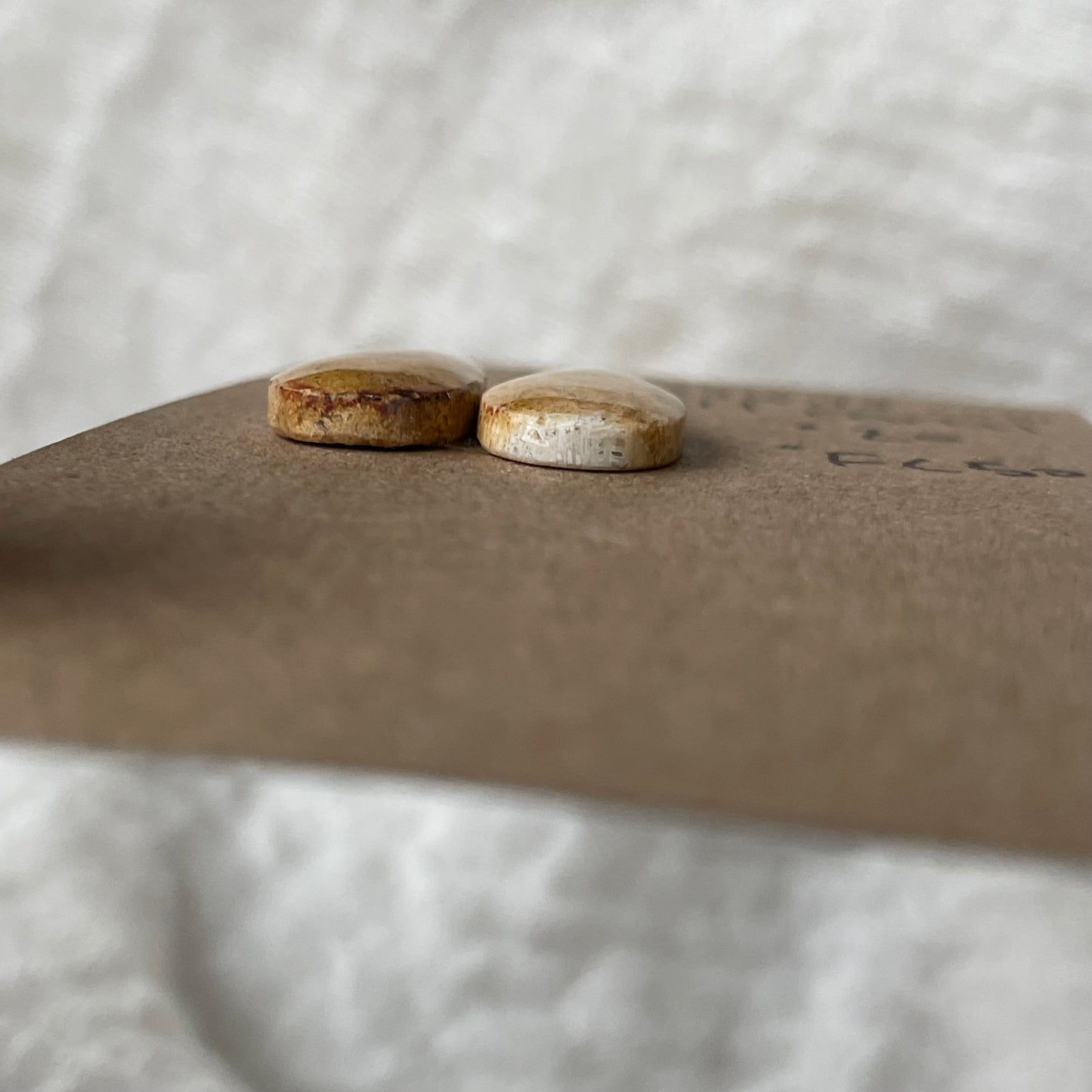 Fossil Coral Cabochon - FC50 FCC4CE06-0176-461D-A8C3-707F7EA62089 Brandedandwild.com