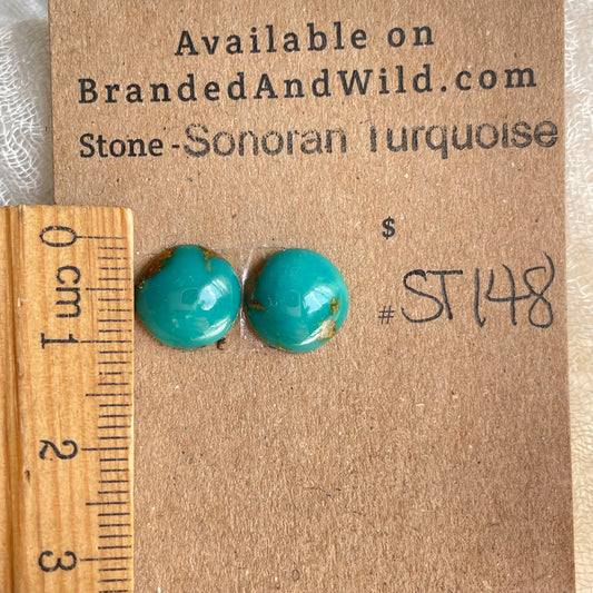 Sonoran Turquoise Cabochon - ST148 FCCD107E-9B39-4BE4-BB6A-3FBAC4DF9C4E Brandedandwild.com