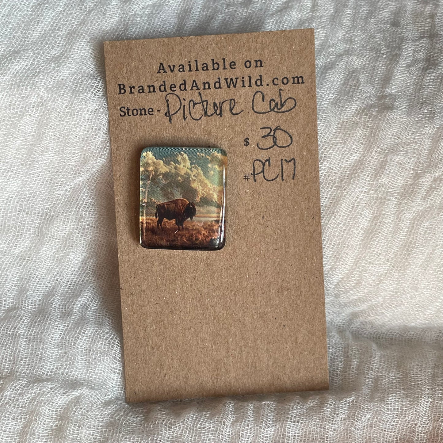 Picture Cabochon - Cabochon - PC17 FCE9E11E-F2E9-4BBB-991C-084855F4816C Brandedandwild.com