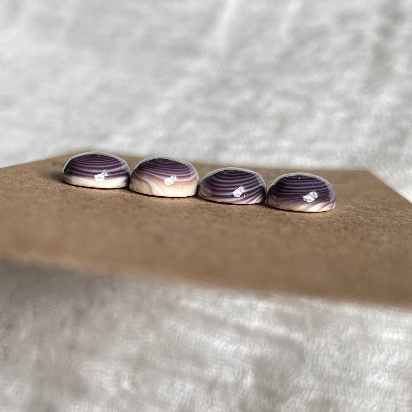 Wampum Quahog Shell Cabochon - WQS2 FD1ABD86-77D2-4875-9DB4-70E2E07717A9 Brandedandwild.com