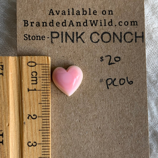 Pink Conch Cabochon - PC06