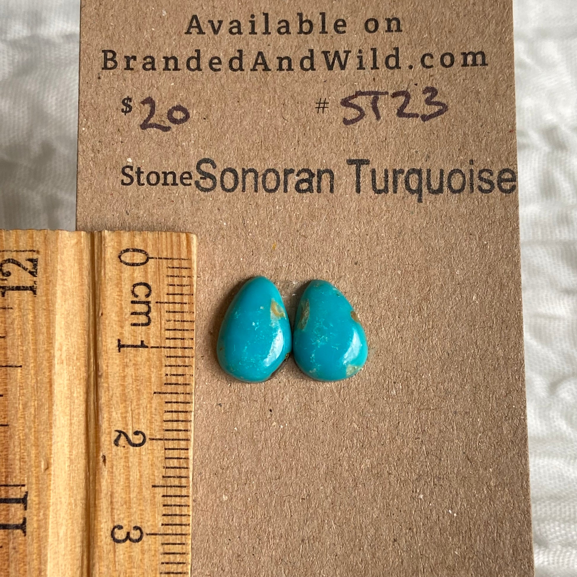 Sonoran Turquoise Cabochon - ST23 FD463FF9-6B02-450A-9936-4C68C51150A2 Brandedandwild.com