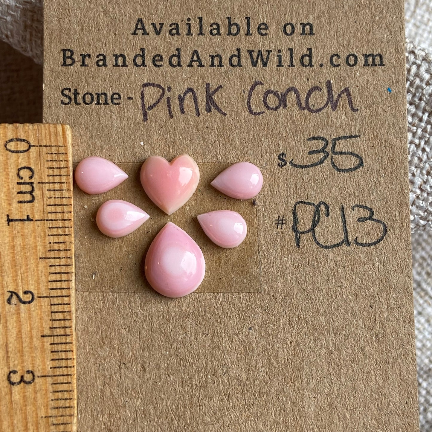 Pink Conch Cabochon - PC11 FD4857E5-DD4A-4B00-91A5-6231C70B1C5C Brandedandwild.com
