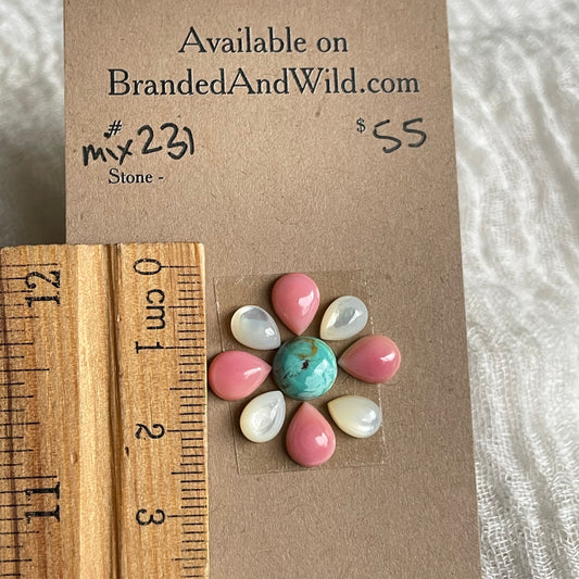 Pink Conch Mix Cabochon - MIX231 FD588956-1989-47A1-88B1-4A32038994FE Brandedandwild.com