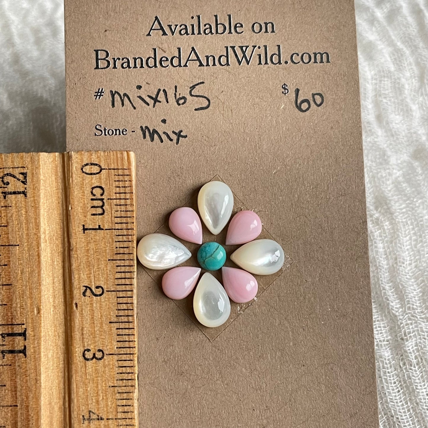 Pink Conch Mix Cabochon - MIX165 FD661E75-FDA3-41F5-AC1D-DC11406BD1F0 Brandedandwild.com
