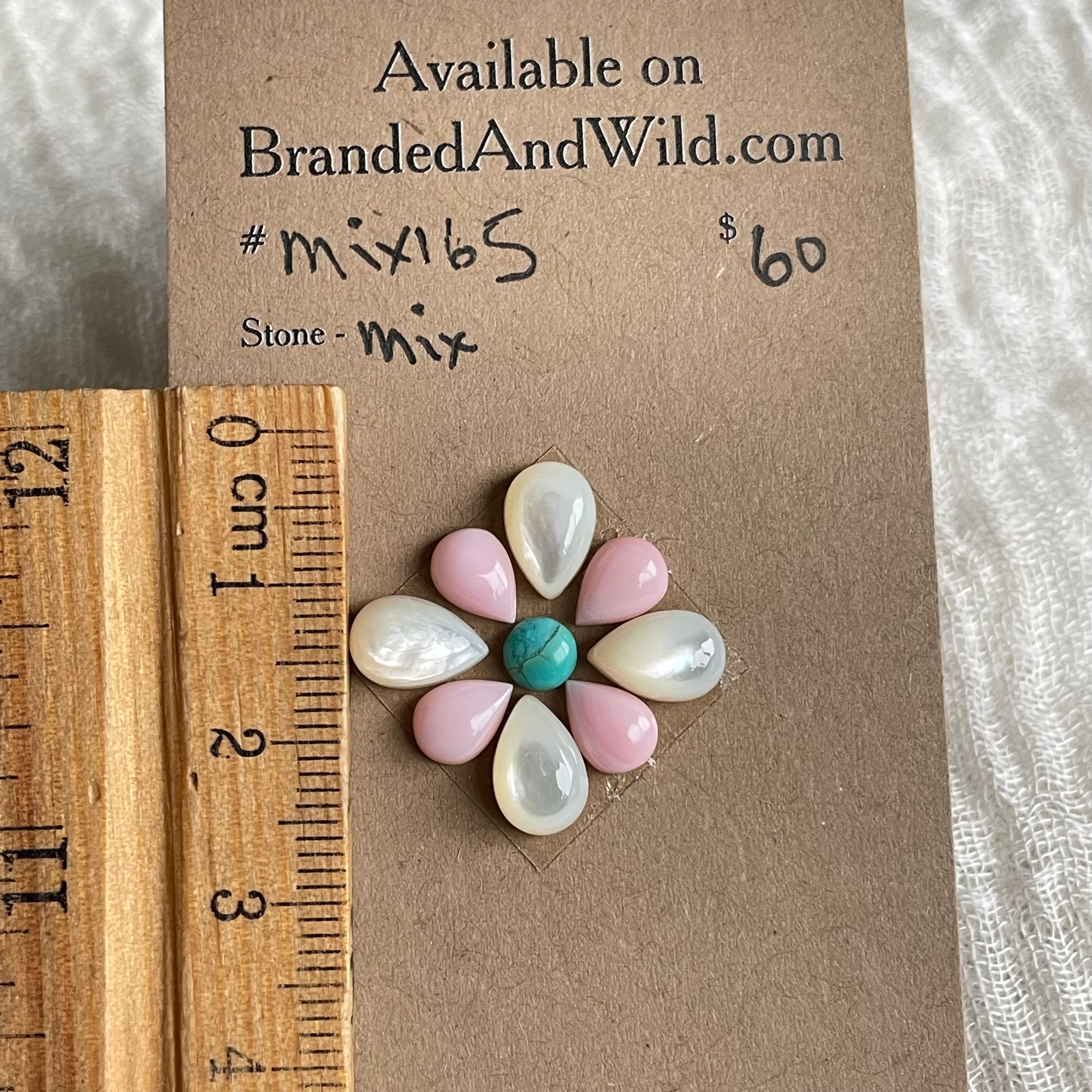 Pink Conch Mix Cabochon - MIX165 FD661E75-FDA3-41F5-AC1D-DC11406BD1F0 Brandedandwild.com
