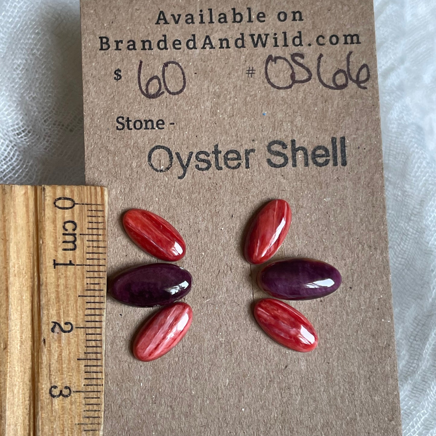 Oyster Shell Cabochon - OS66