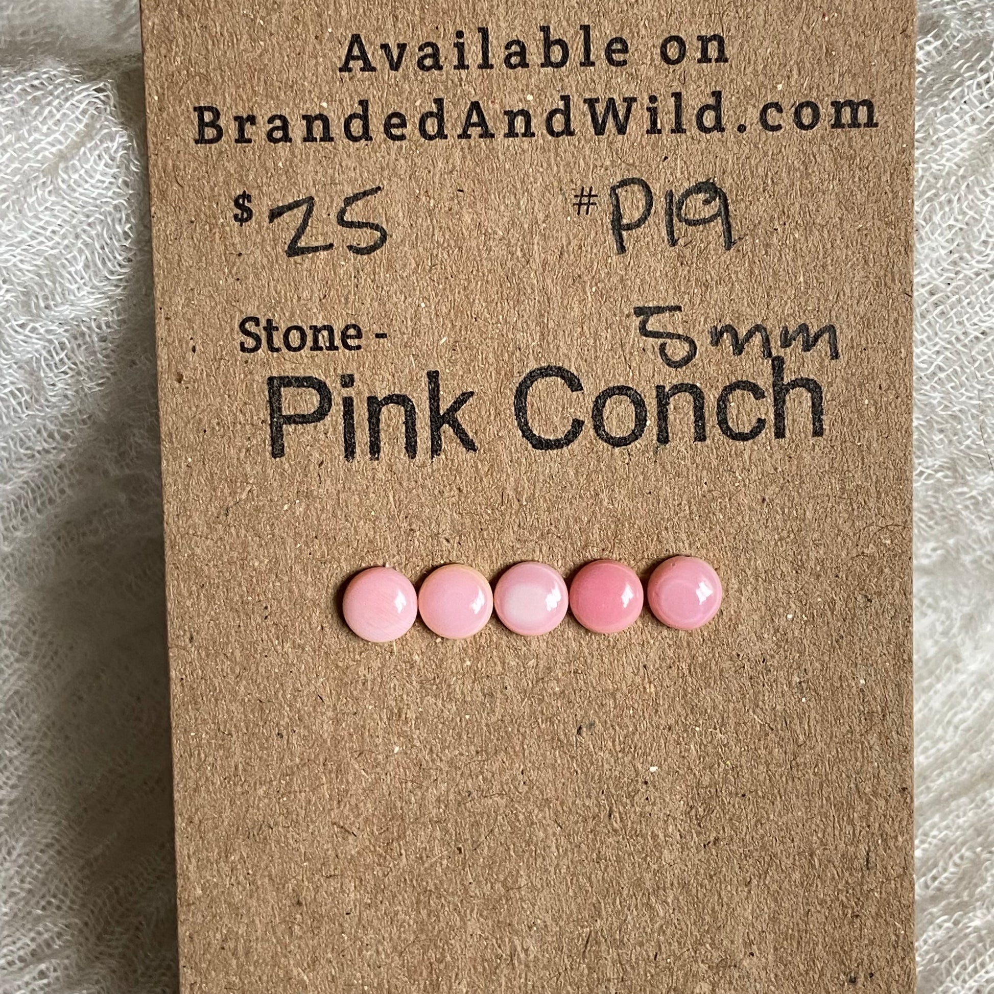 Pink Conch Cabochon - P19 FD86ACA8-274B-4EB5-968A-D932B86E46C5 Brandedandwild.com