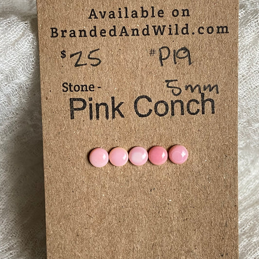 Pink Conch Cabochon - P19 FD86ACA8-274B-4EB5-968A-D932B86E46C5 Brandedandwild.com