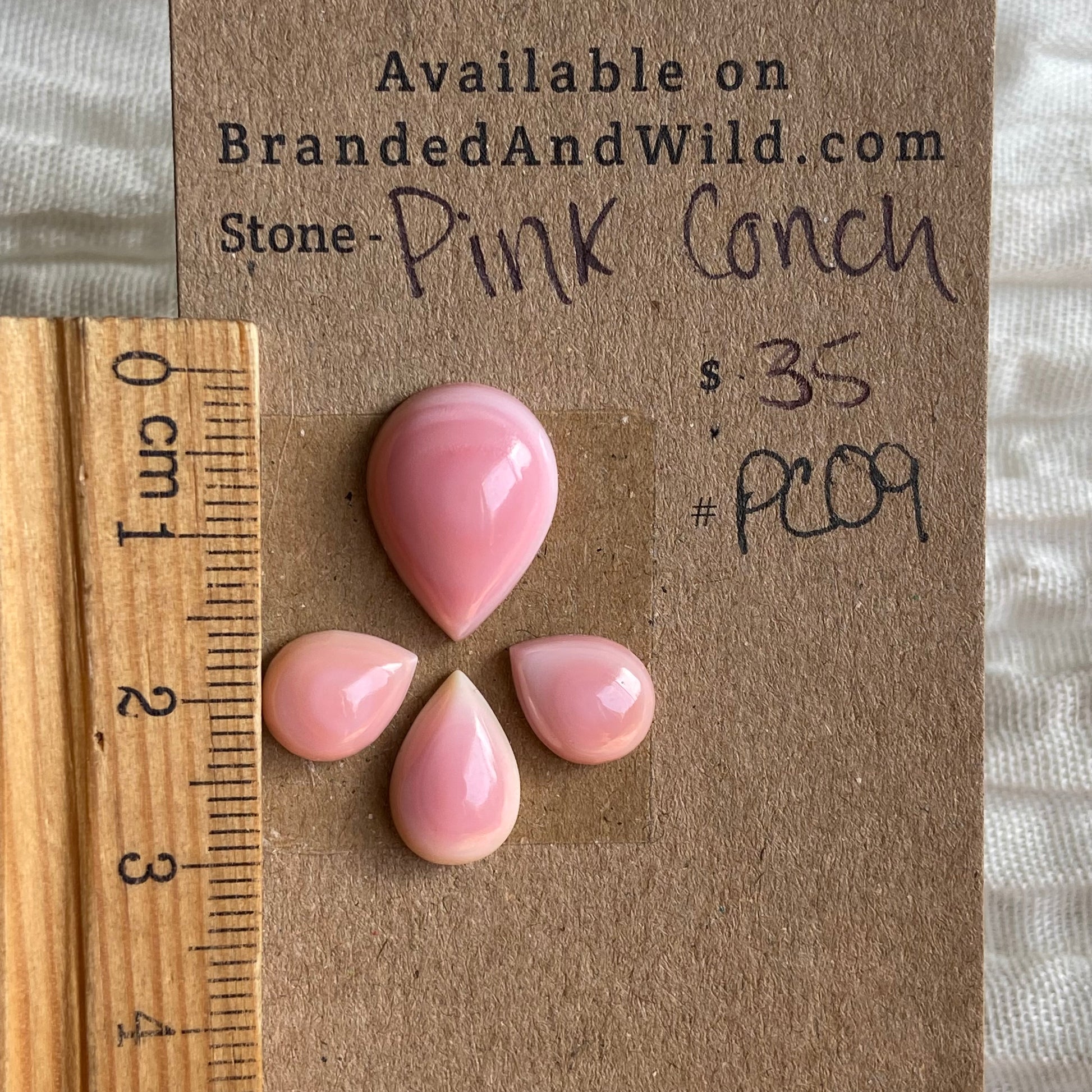 Pink Conch Cabochon - PC09 FD9E79A4-586F-4FAA-AEFD-4493E4561A78 Brandedandwild.com
