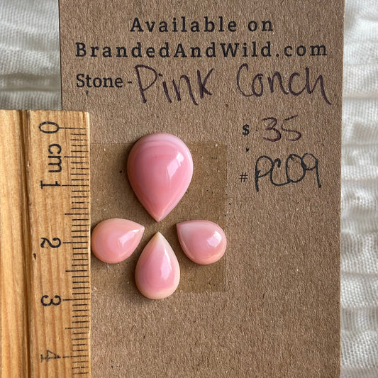 Pink Conch Cabochon - PC09 FD9E79A4-586F-4FAA-AEFD-4493E4561A78 Brandedandwild.com
