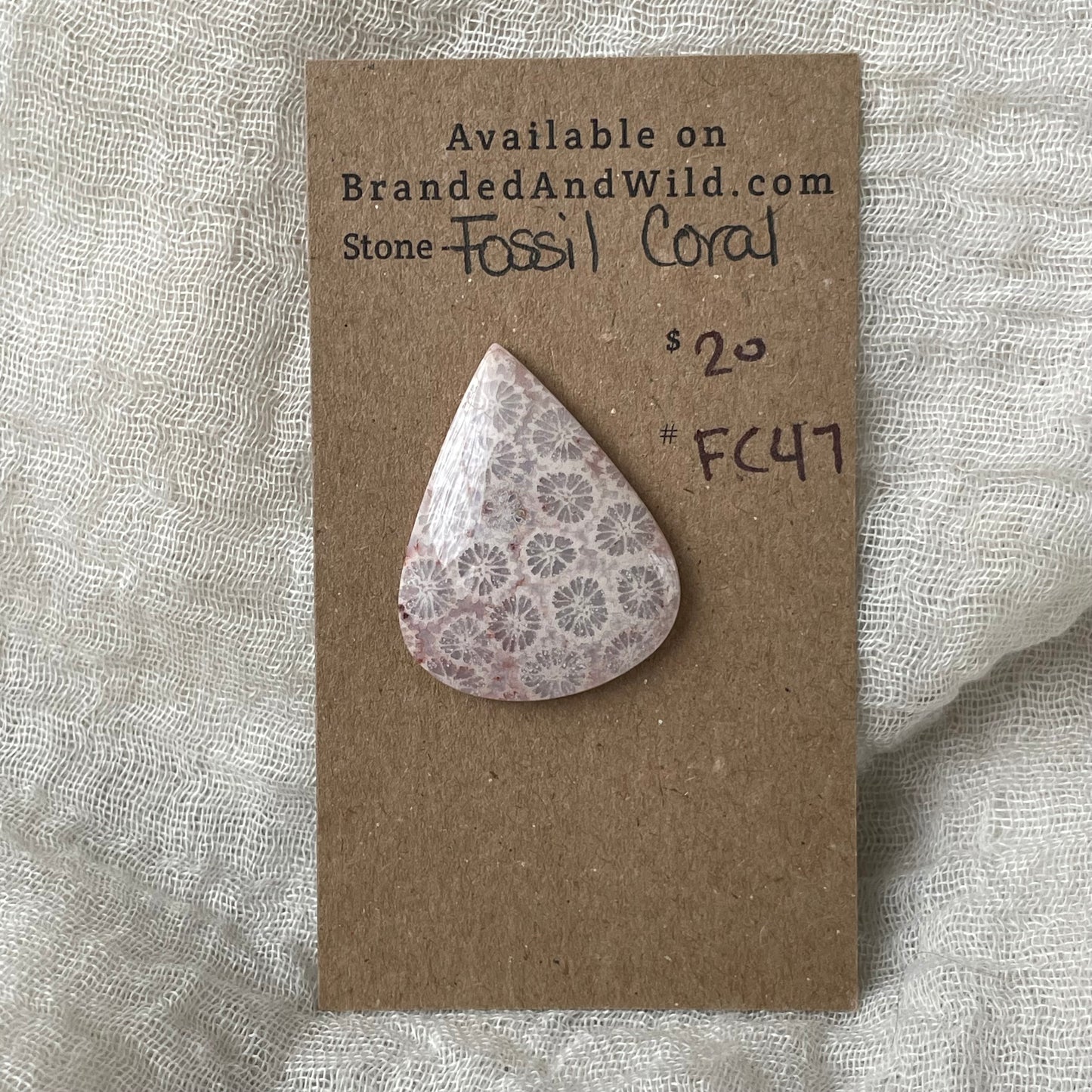 Fossil Coral Cabochon - FC47 FDBEECED-8ADF-47DA-A952-B7EFC2669B64 Brandedandwild.com
