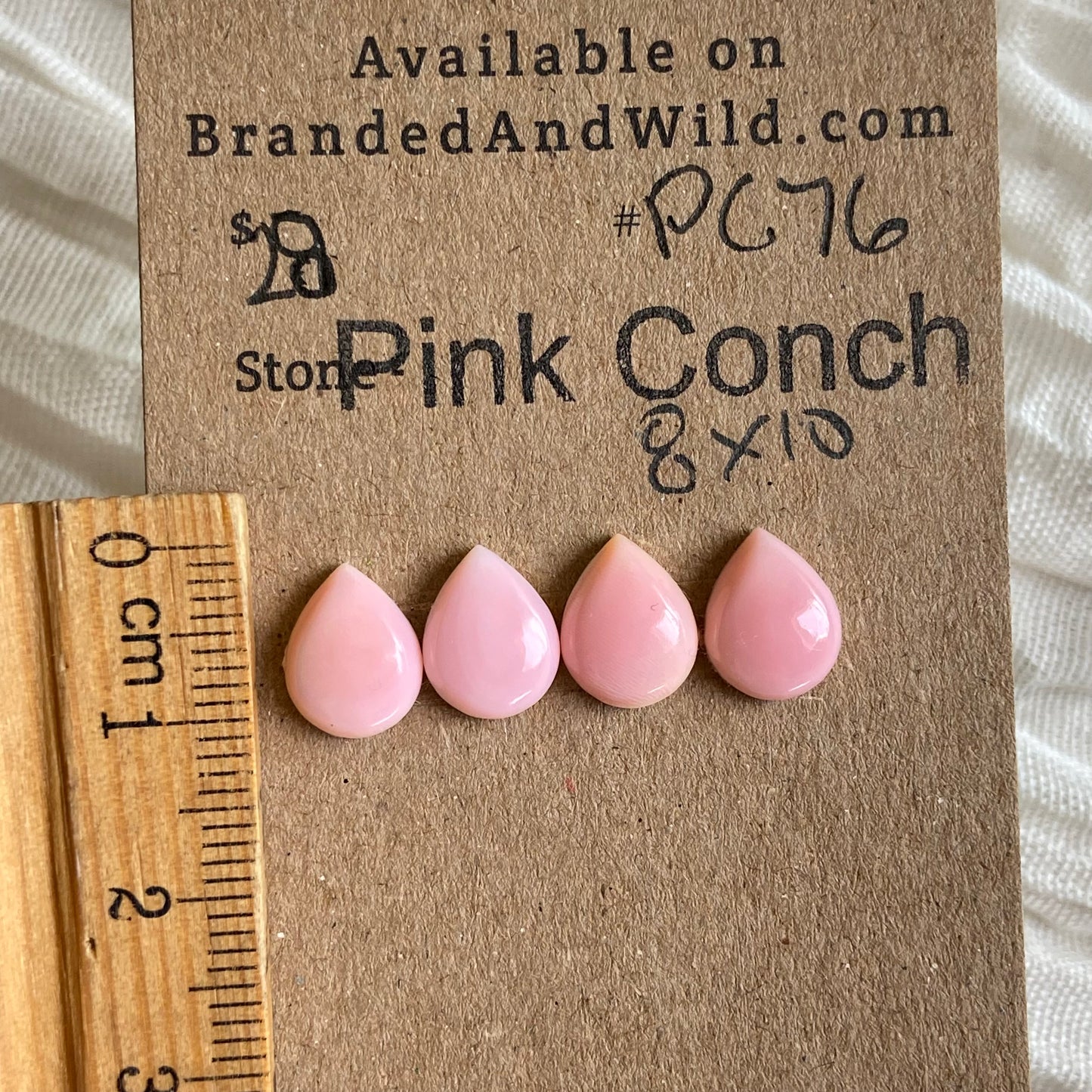 Pink Conch Cabochon - PC76