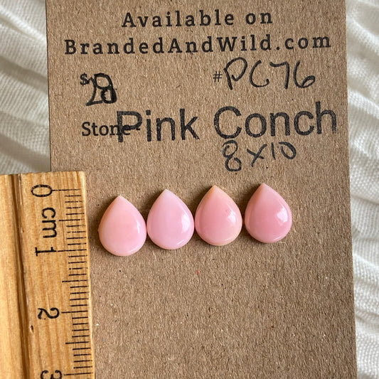 Pink Conch Cabochon - PC76 FDCFB01E-F2FE-489A-9F83-BC996B2A8899 Brandedandwild.com