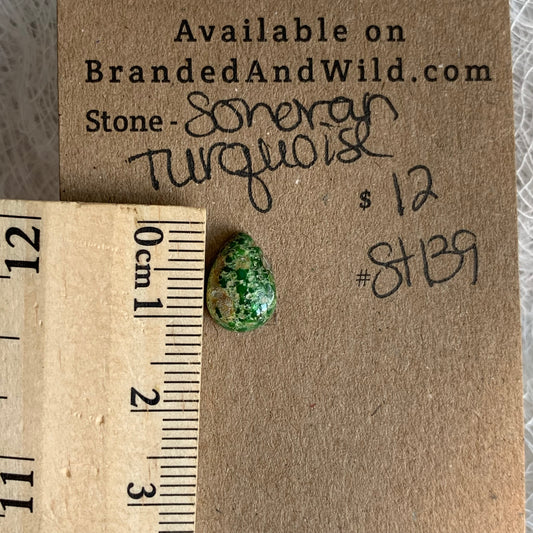 Sonoran Turquoise Cabochon - ST139
