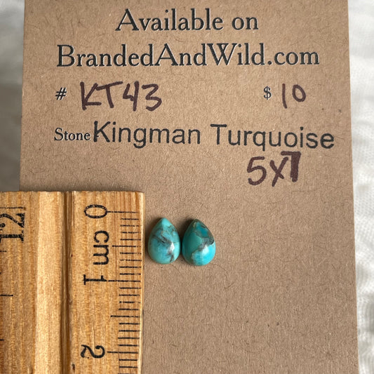 Kingman Turquoise Cabochon - KT43 FE0E210B-337E-4EA5-BD12-BEAD55BE47F4 Brandedandwild.com
