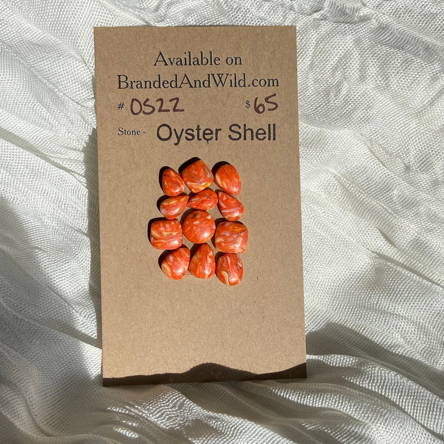 Oystershell Cabochon - OS22 FE1D7667-433F-4E8B-864A-904C07834599 Brandedandwild.com