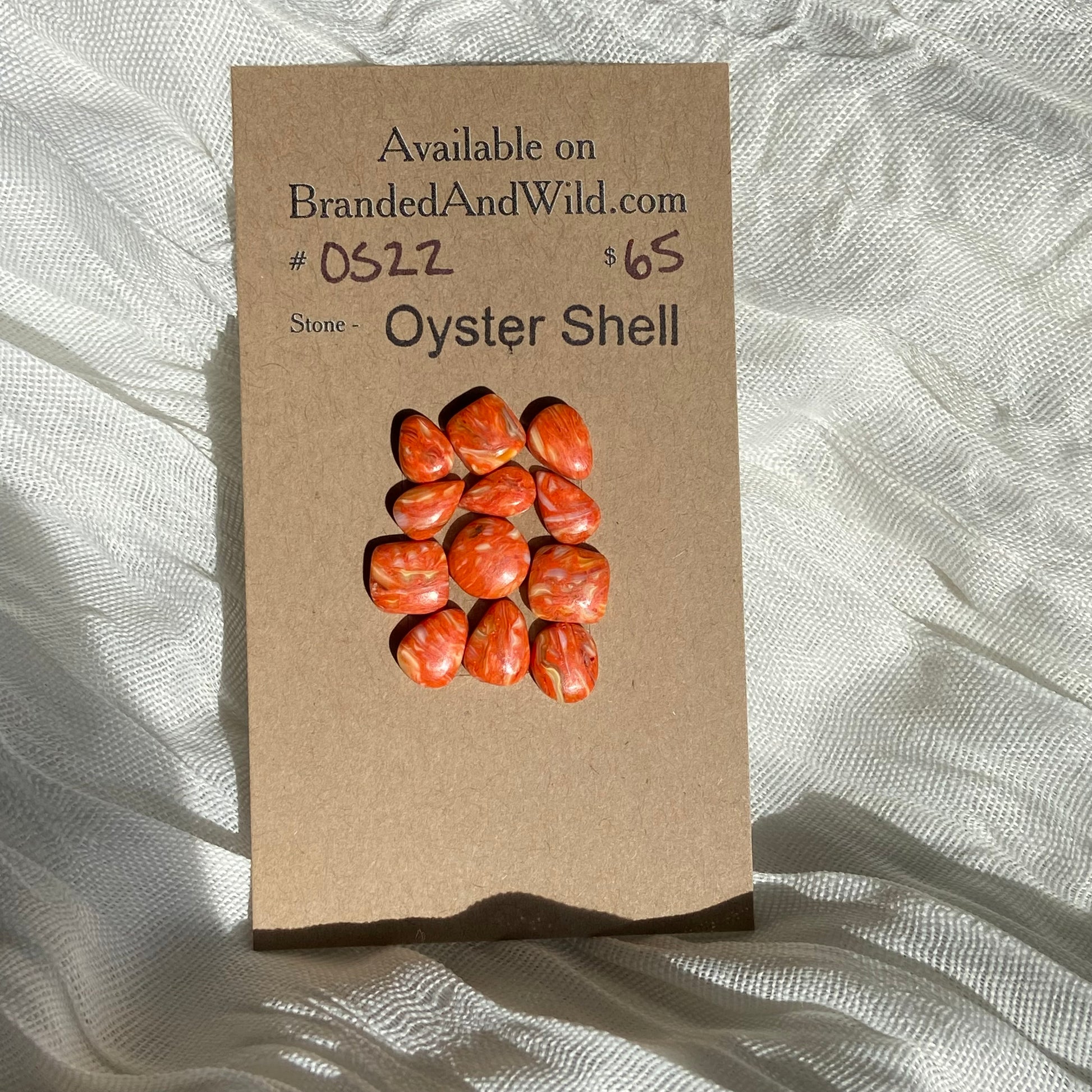 Oystershell Cabochon - OS22 FE1D7667-433F-4E8B-864A-904C07834599 Brandedandwild.com