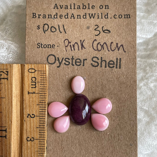 Pink Conch / Oyster Shell Cabochon - P011 FE1F468E-364B-47FE-8DB0-876B48B8E5F0 Brandedandwild.com