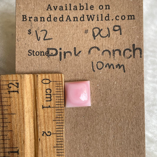 Pink Conch Cabochon - PC19