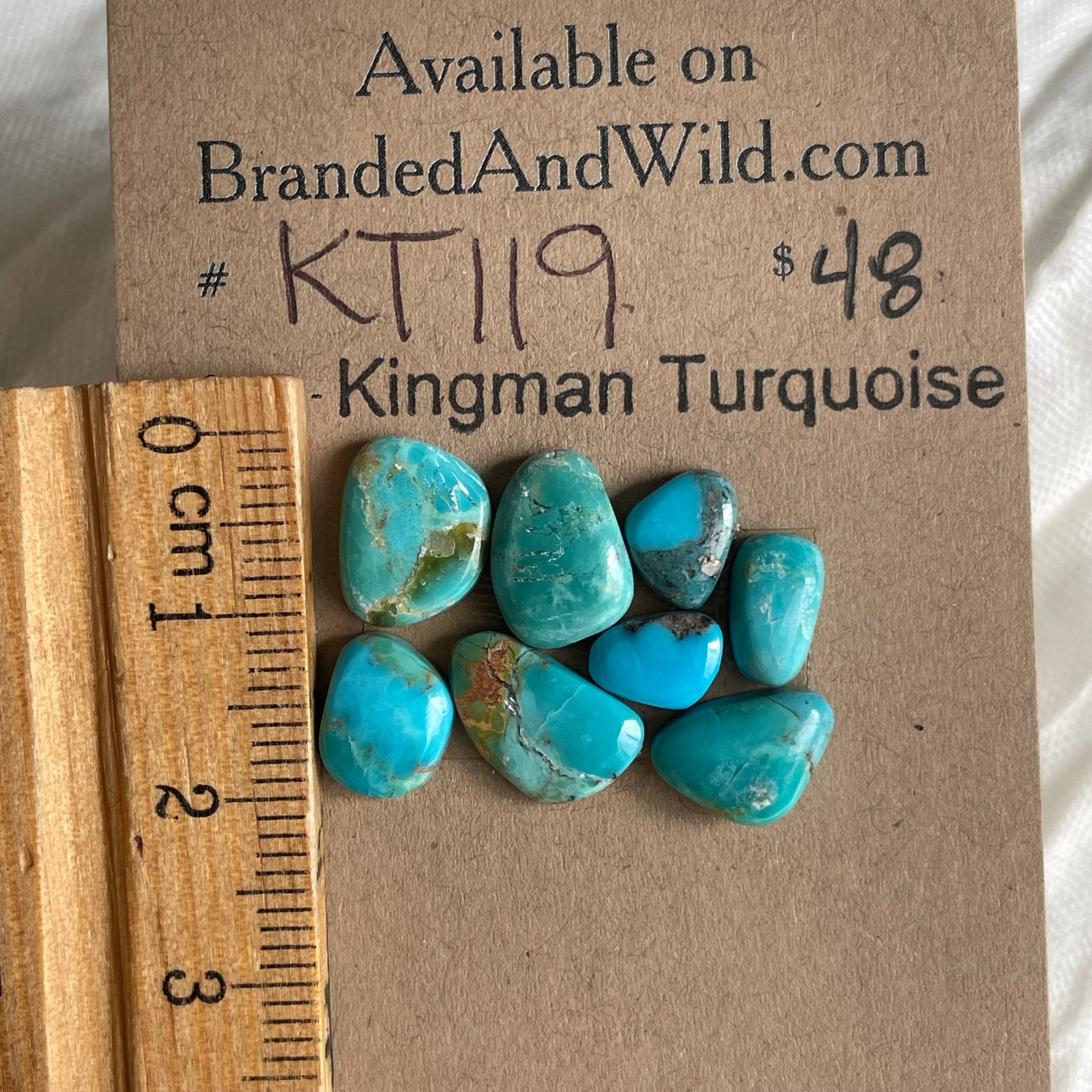 Kingman Turquoise Cabochon - KT119 FE491CC6-AC34-4A7A-BE18-3CE08A39EF15 Brandedandwild.com