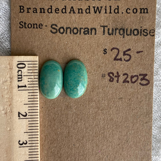 Sonoran Turquoise Cabochon - ST203