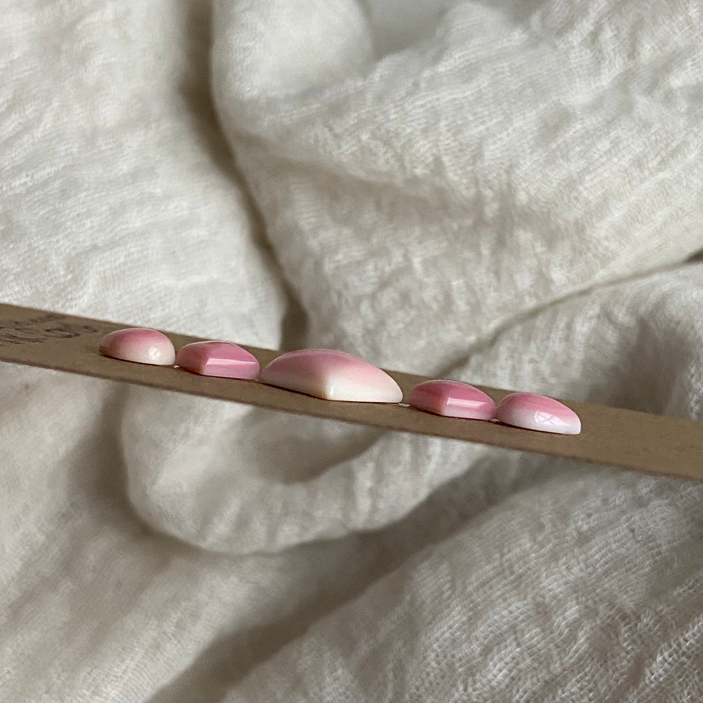 Pink Conch Cabochon - PC64