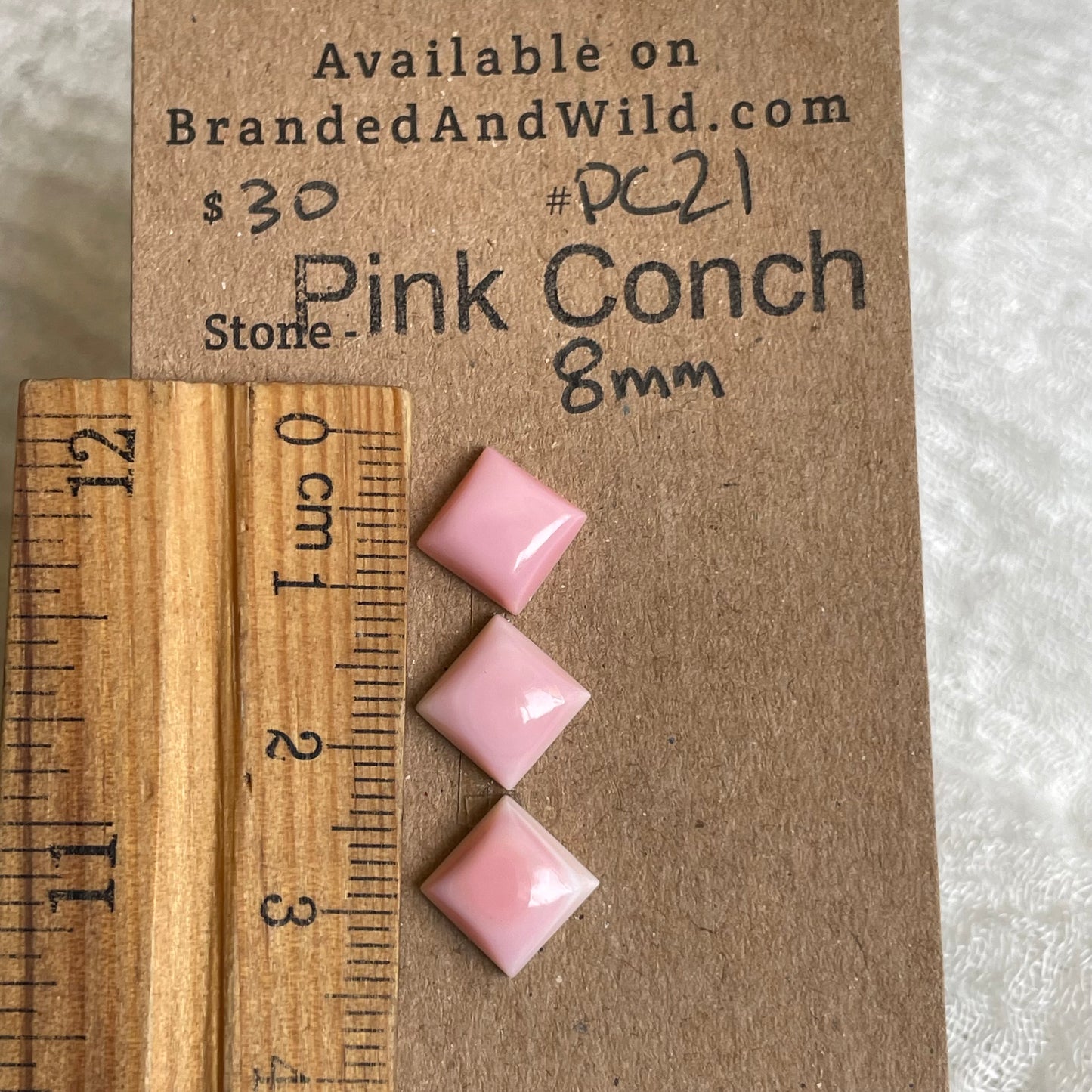 Pink Conch Cabochon - PC21