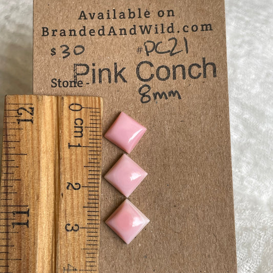 Pink Conch Cabochon - PC21