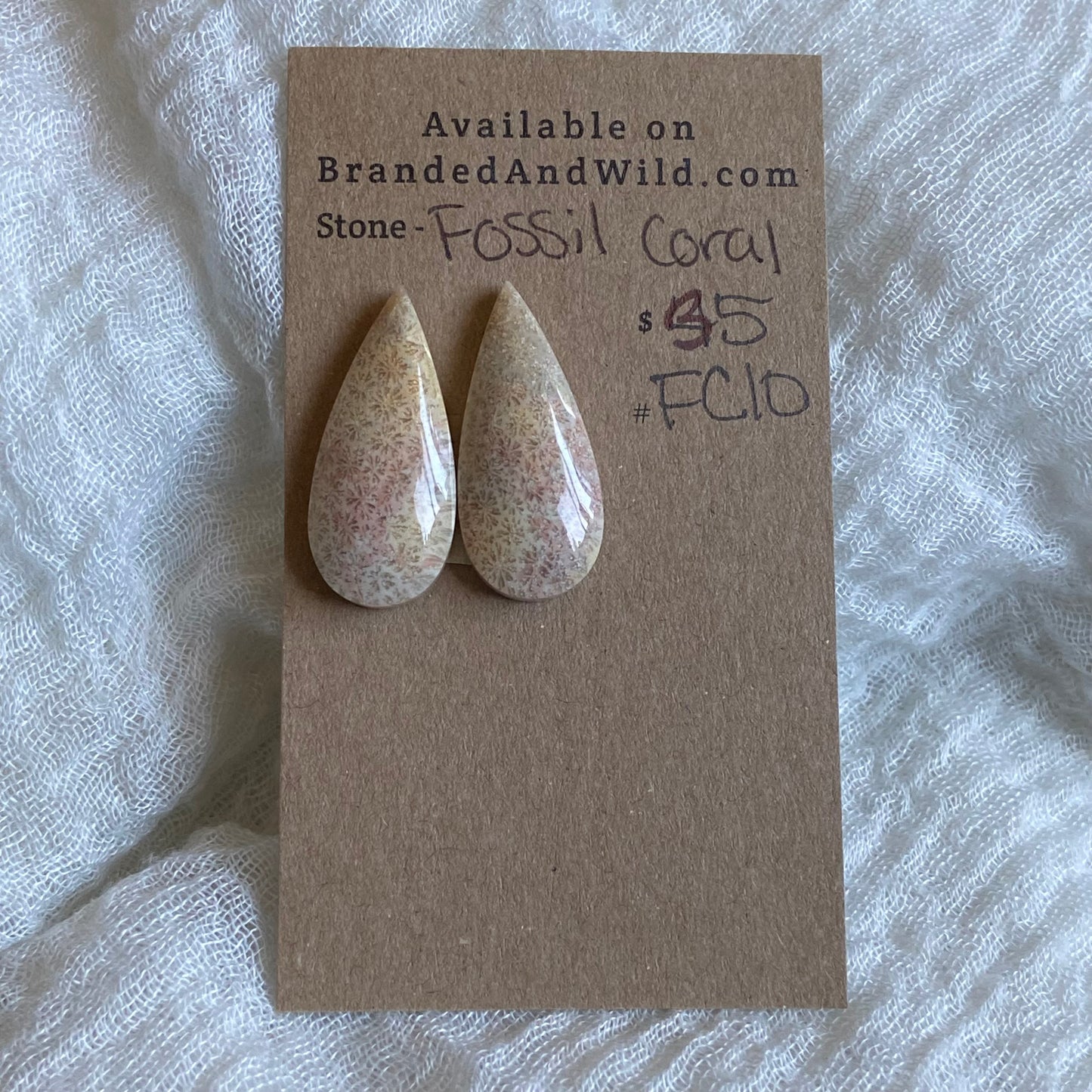 Fossil Coral Cabochon - FC10