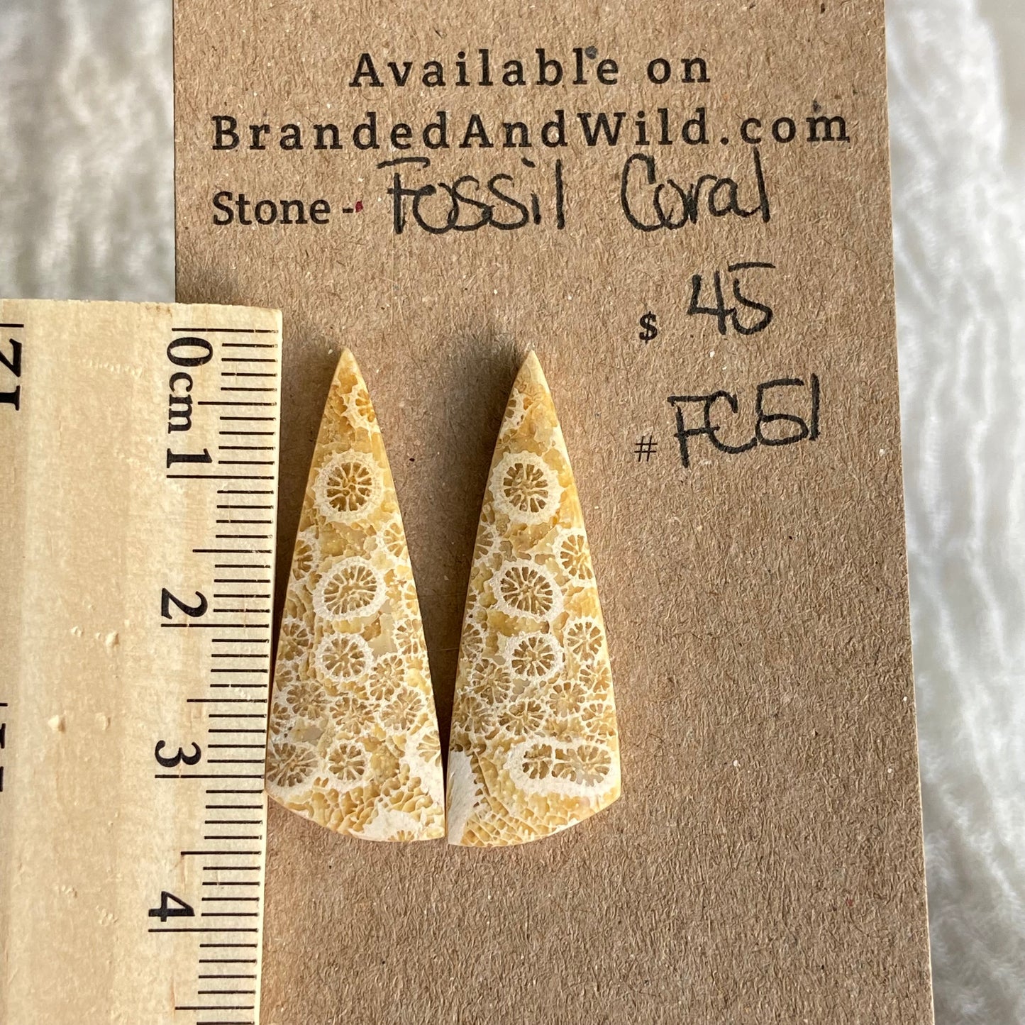 Fossil Coral Cabochon - FC51
