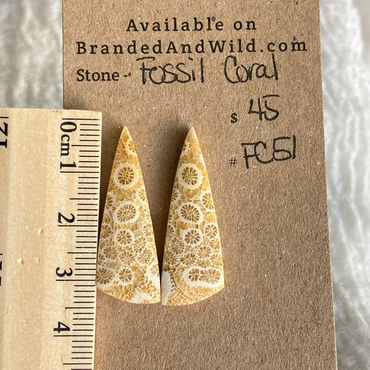Fossil Coral Cabochon - FC51
