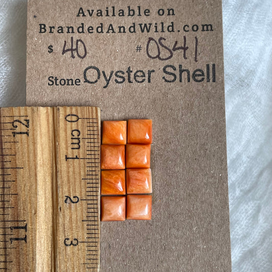 Oyster Shell Cabochon - OS41 FEA58BBE-DDDA-4A07-850B-032CBDF95157 Brandedandwild.com
