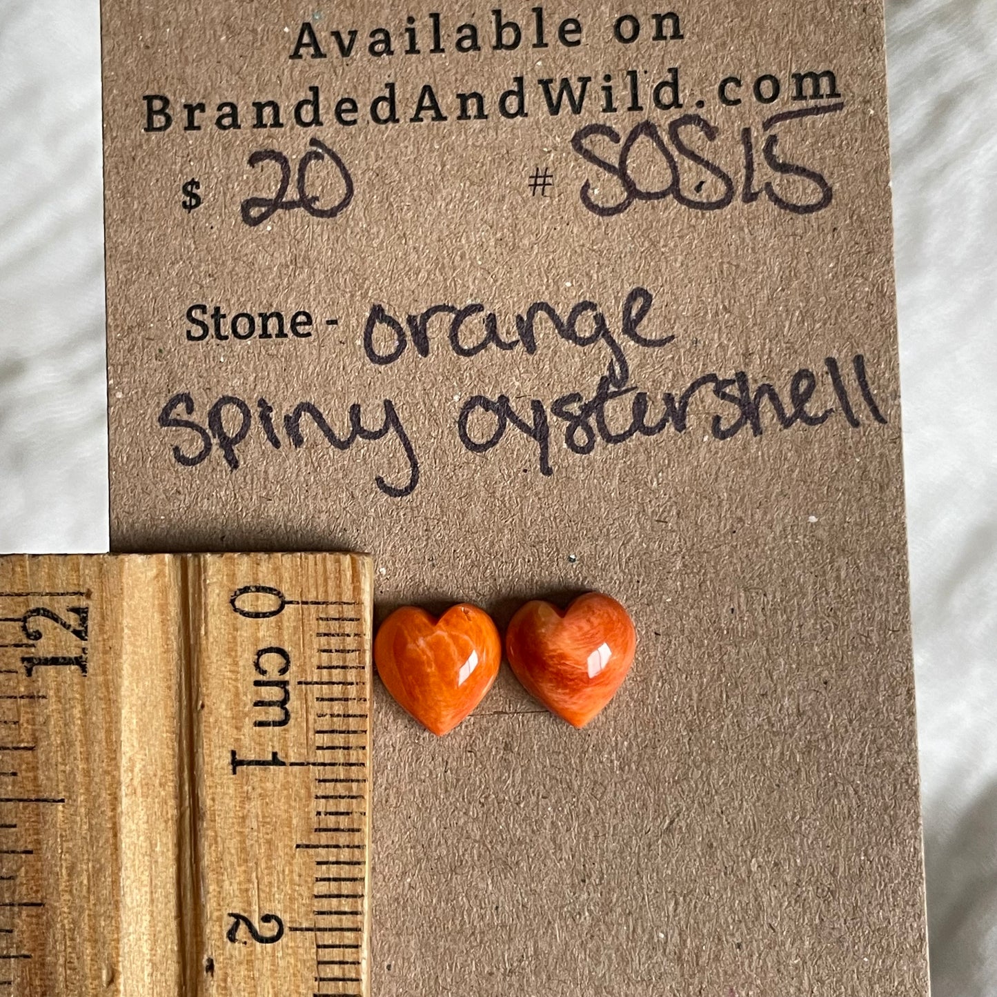 Spiny Oyster Shell Cabochon - SOS15 FEA9B575-64F5-4817-9C17-5AB035FA5E63 Brandedandwild.com