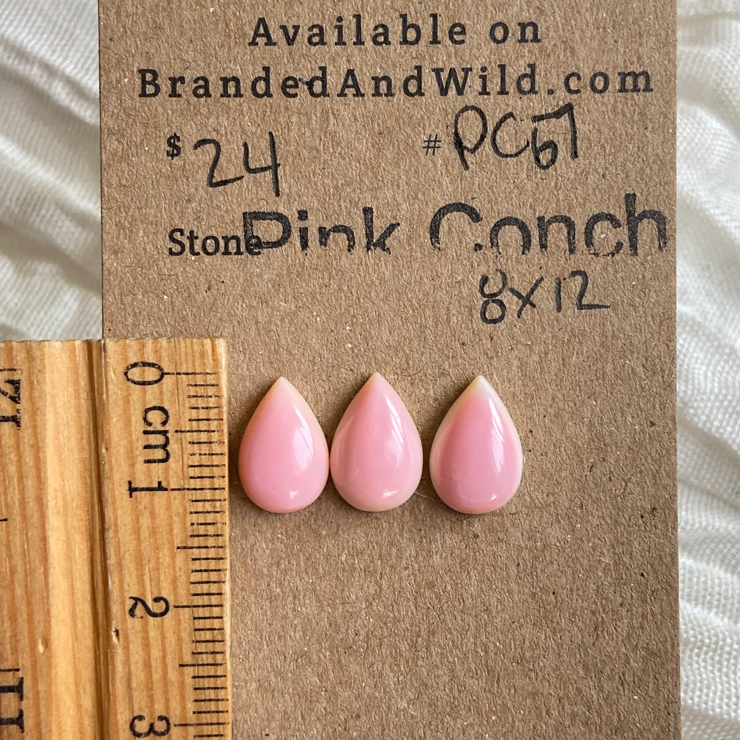 Pink Conch Cabochon - PC67
