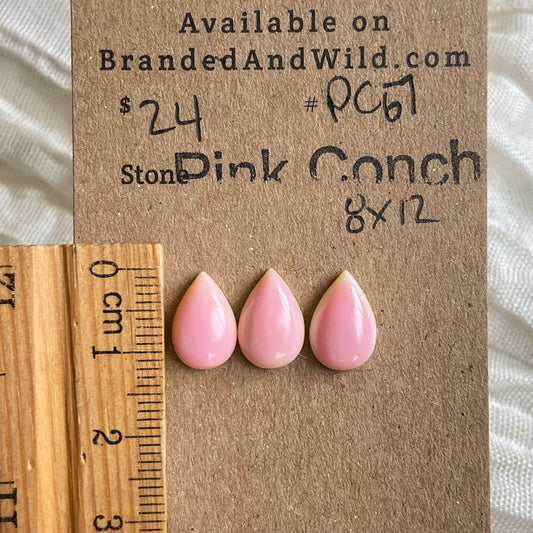 Pink Conch Cabochon - PC67 FEC84527-5BC6-4583-A239-8F2B1B2B3B75 Brandedandwild.com