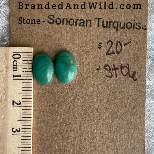 Sonoran Turquoise Cabochon - ST06