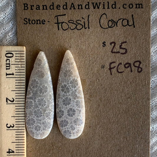 Fossil Coral Cabochon - FC98