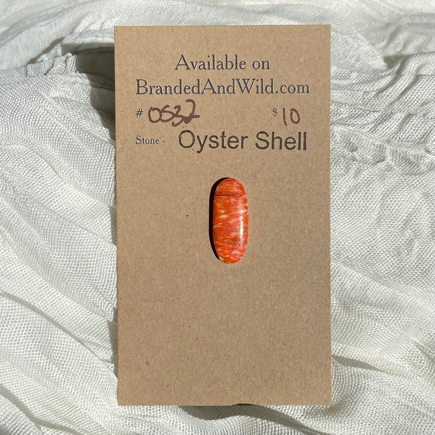 Oystershell Cabochon - OS32 FF1E92B9-E4F0-4DEE-B1C1-FA825DE71897 Brandedandwild.com