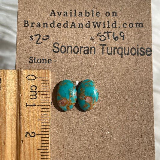 Sonoran Turquoise Cabochon - ST69 FF2C97D4-A919-4792-8304-A8416DD18D81 Brandedandwild.com