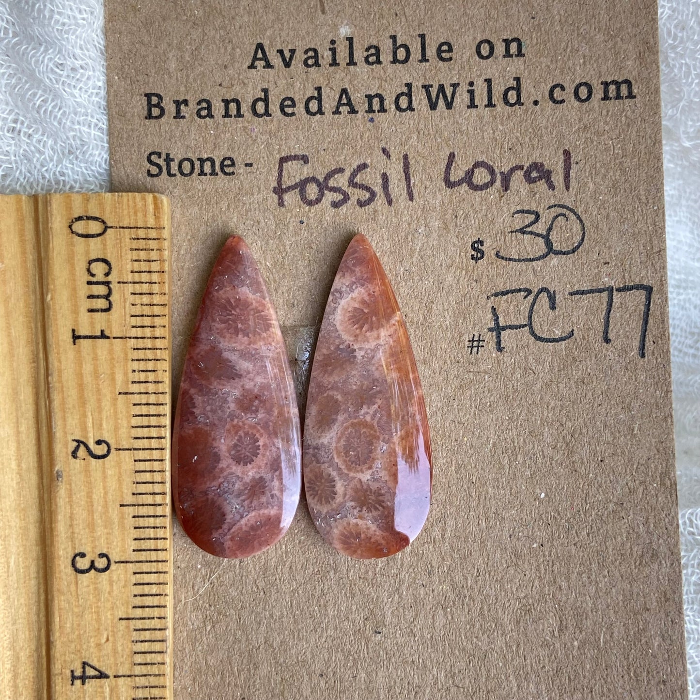Fossil Coral Cabochon - FC77