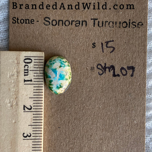 Sonoran Turquoise Cabochon - ST207