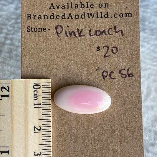 Pink Conch Cabochon - PC56