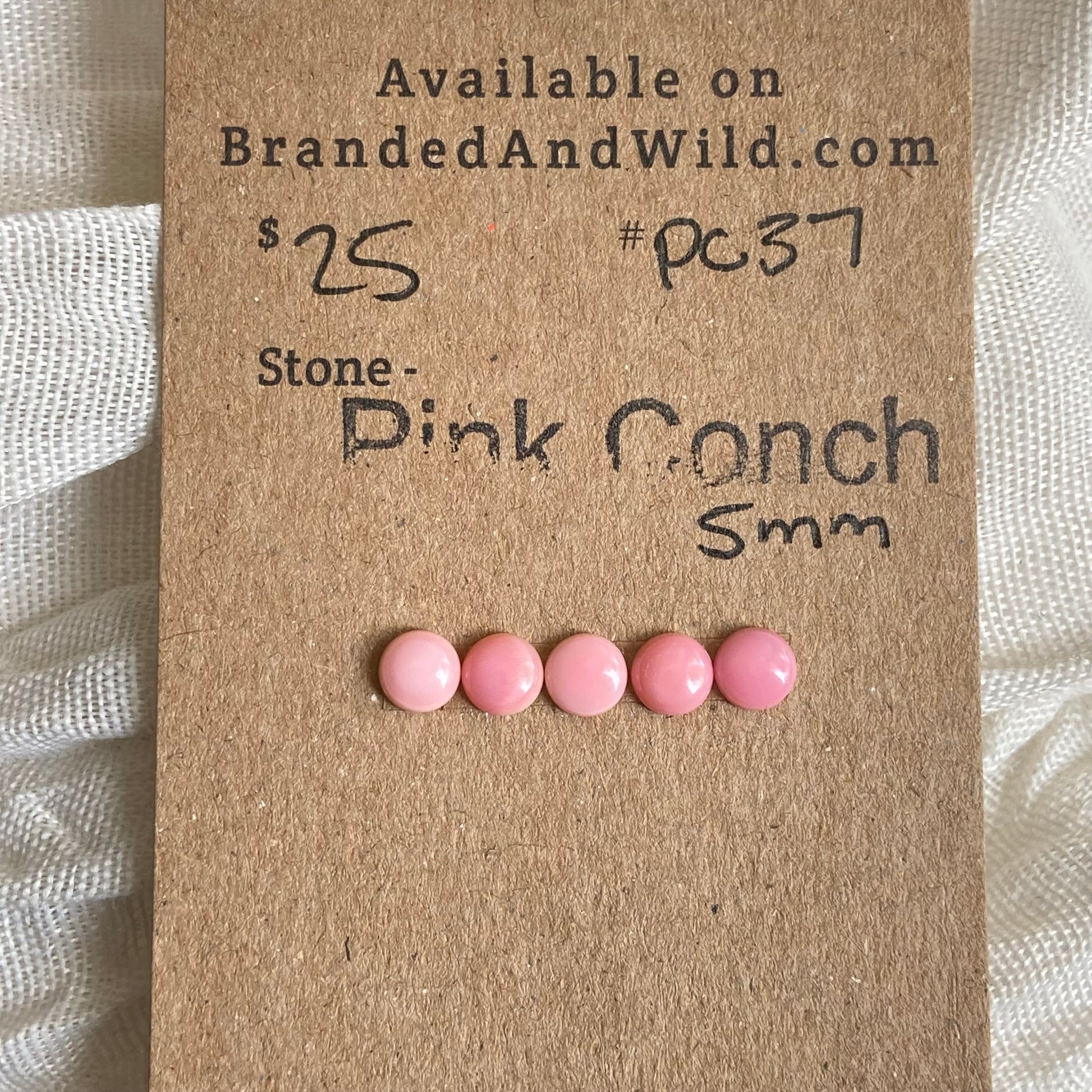 Pink Conch Cabochon - PC37 FF7849E7-C9E0-4C78-A139-61D29A7E49BD Brandedandwild.com